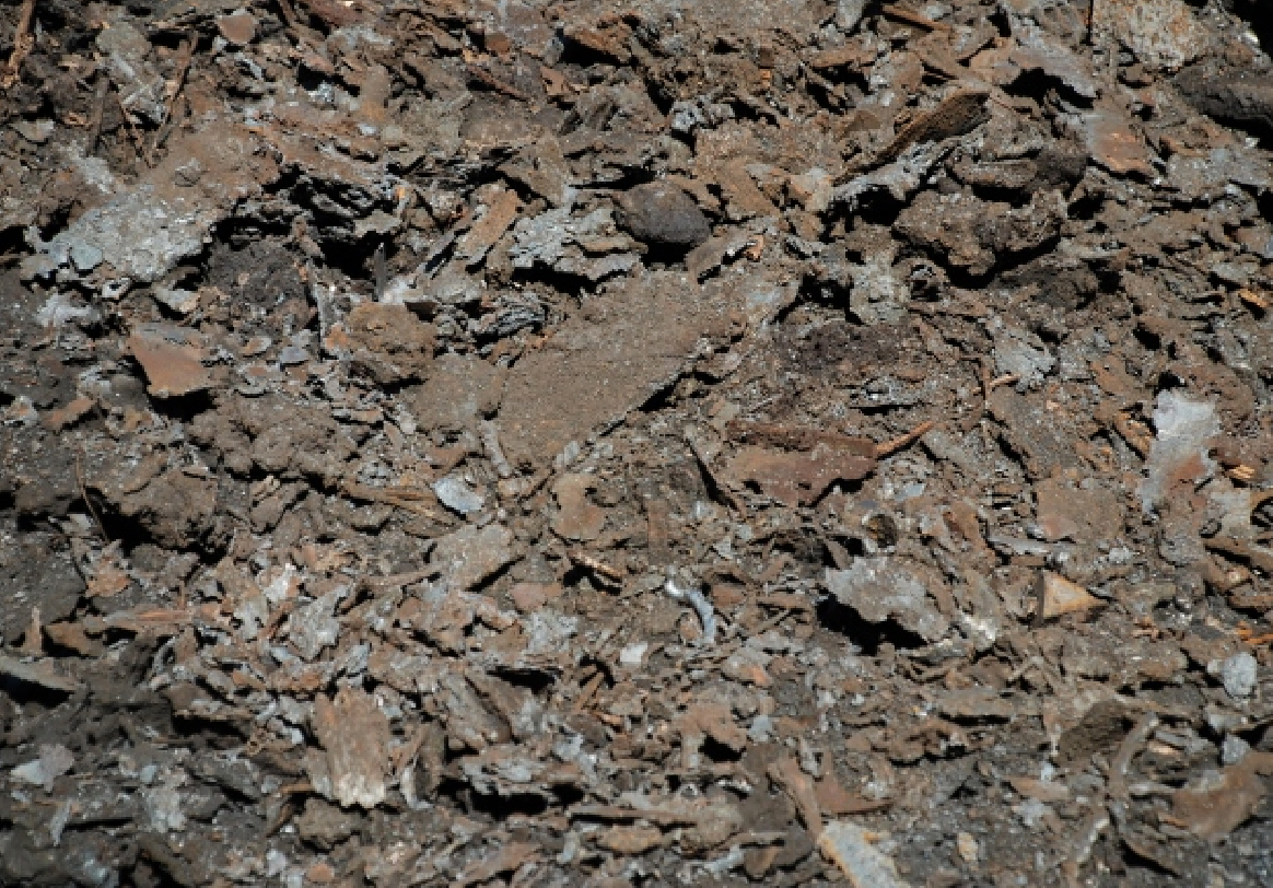 Zunder (Oxidationsschicht)